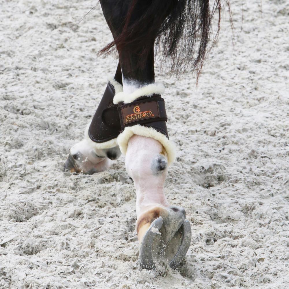 Brushing Boots Leather Hind Short | Kentucky Horsewear | Comfort — Image 3