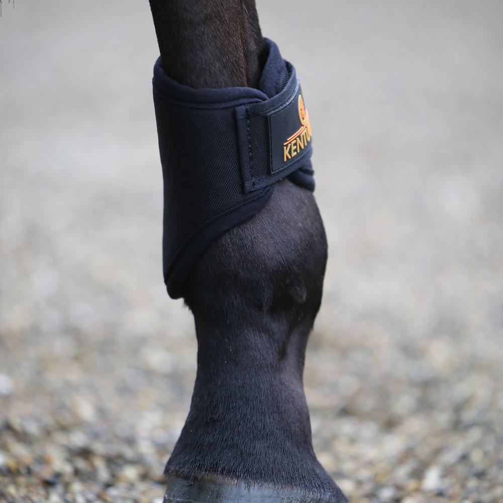 Brushing Boots 3D Spacer Hind Short | Kentucky Horsewear | Breathable — Image 4