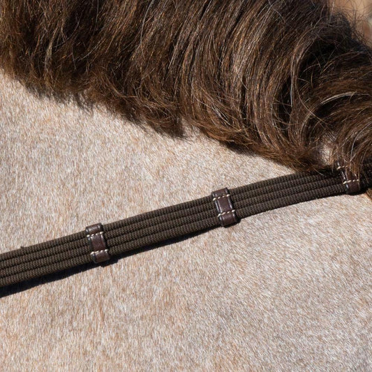 5/8" Web Reins With 9 Leather Loops | Dy'on |