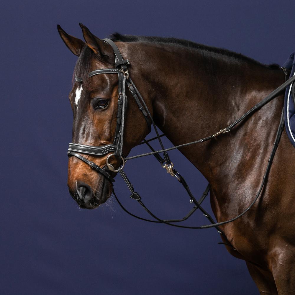 Gogue Reins | Dy'on | — Image 5