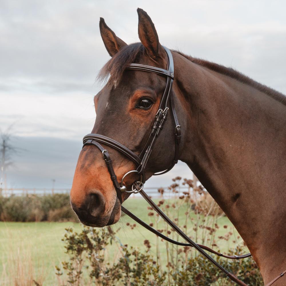 Rubber Reins 1/2" with 7 Leather Stops Ring Closure |  | — Image 4