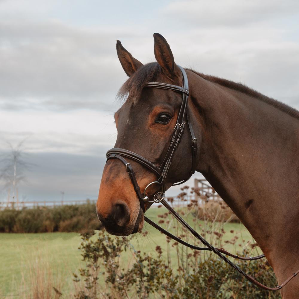 Rubber Reins 1/2" with 7 Leather Stops Ring Closure |  | — Image 5
