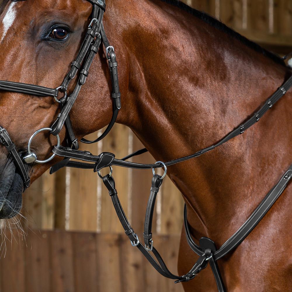 Running Martingale Attachment | Dy'on | Adjustable — Image 3