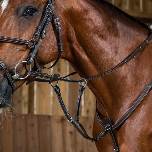 Running Martingale Attachment | Dy'on | Adjustable — Image 2