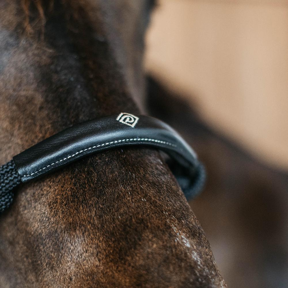 Training Halter | Dy'on | Durable — Image 5