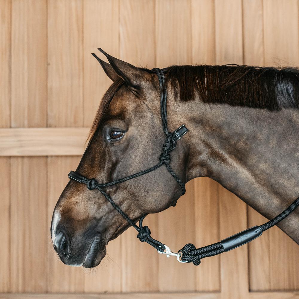 Training Halter | Dy'on | Durable — Image 6