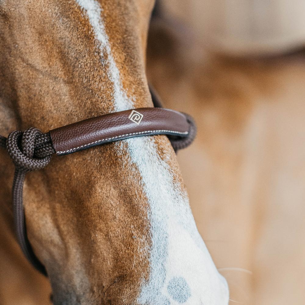 Training Halter | Dy'on | Durable — Image 2