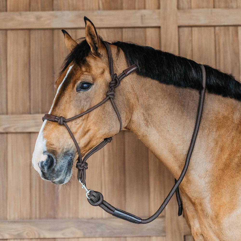 Training Halter | Dy'on | Durable — Image 3