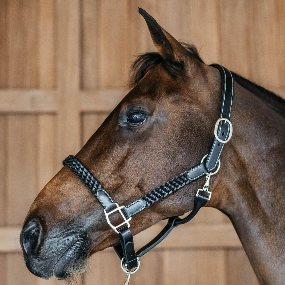 Plaited Halter | Dy'on | DurableLeather