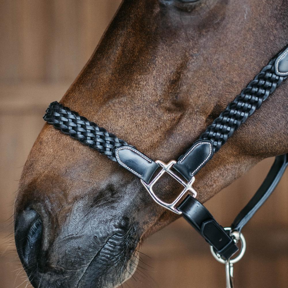 Plaited Halter | Dy'on | DurableLeather — Image 2