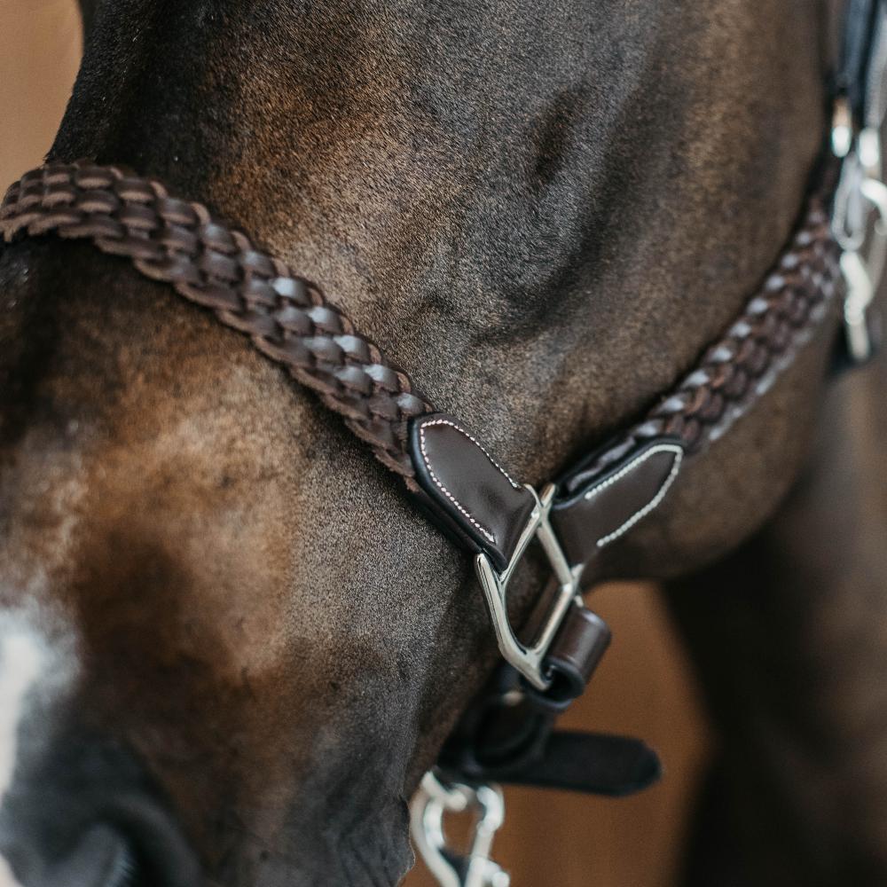 Plaited Halter | Dy'on | DurableLeather — Image 6