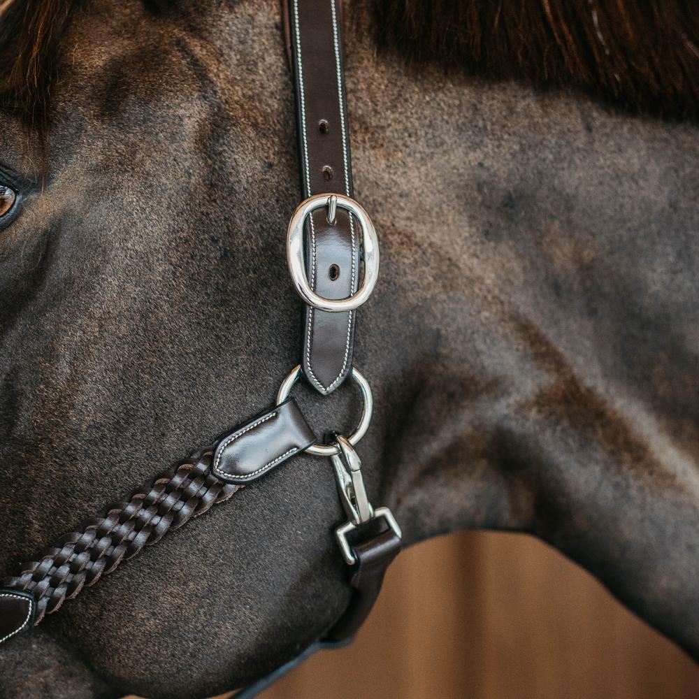 Plaited Halter | Dy'on | DurableLeather — Image 7