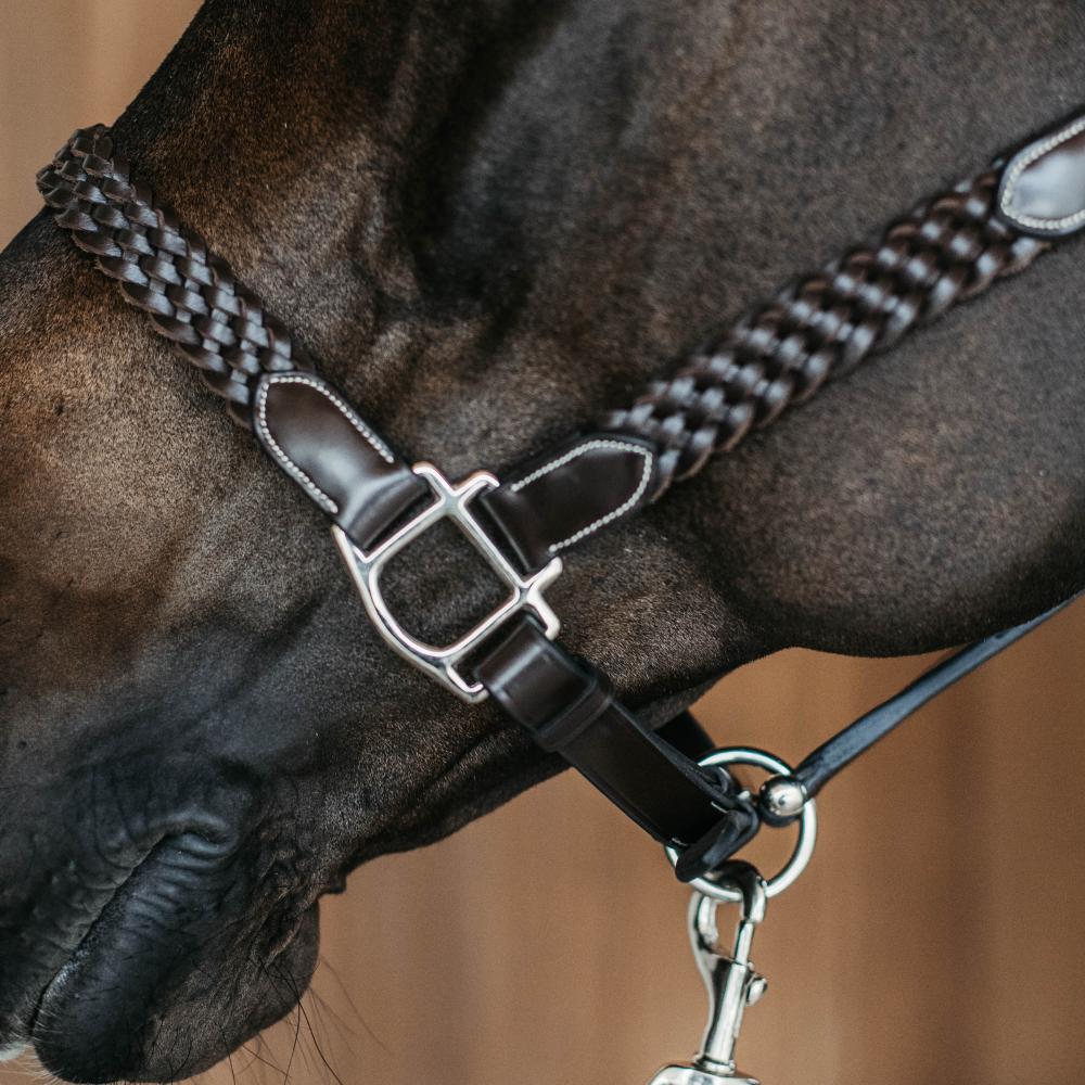 Plaited Halter | Dy'on | DurableLeather — Image 8