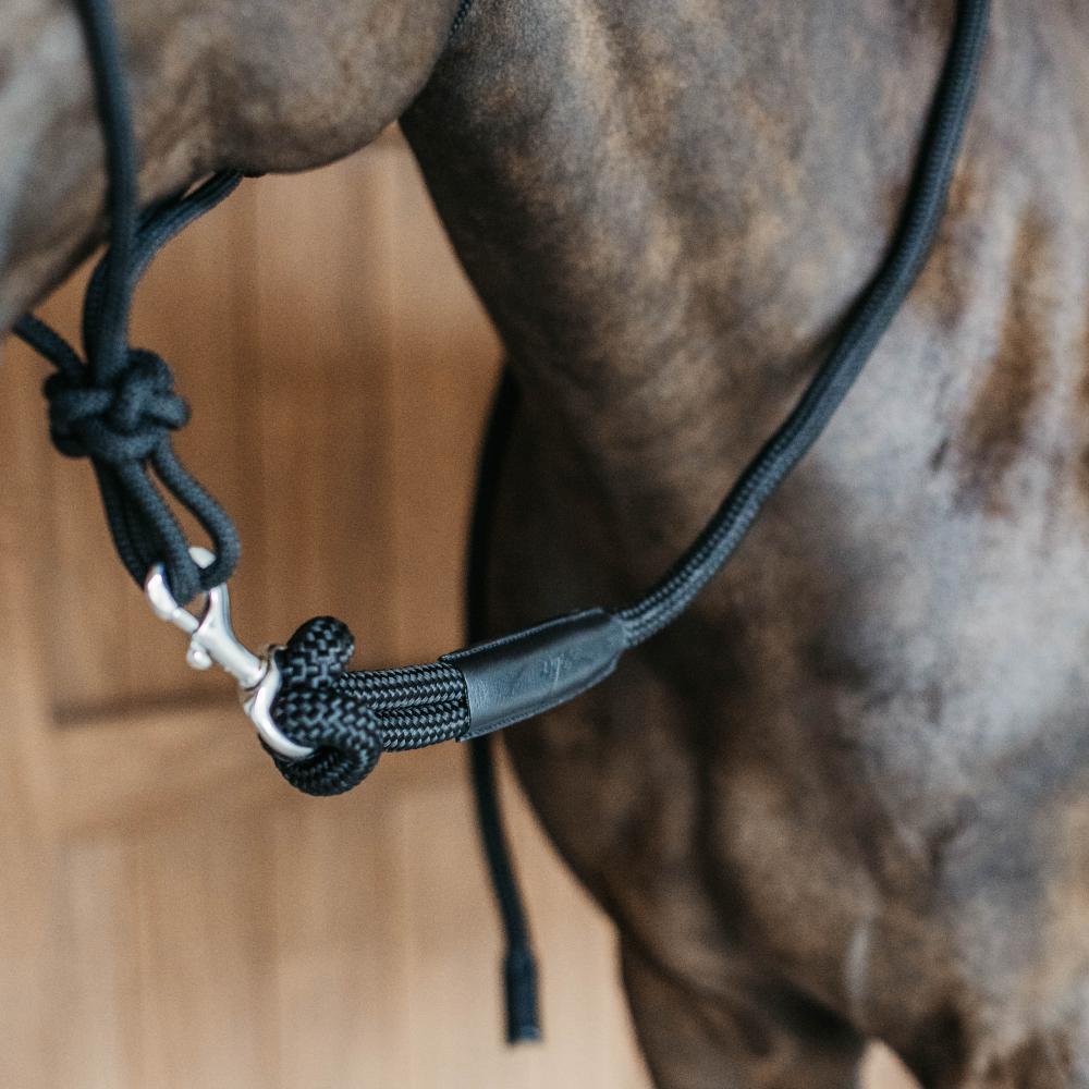 Training Lead with removable snap | Dy'on | Durable — Image 9