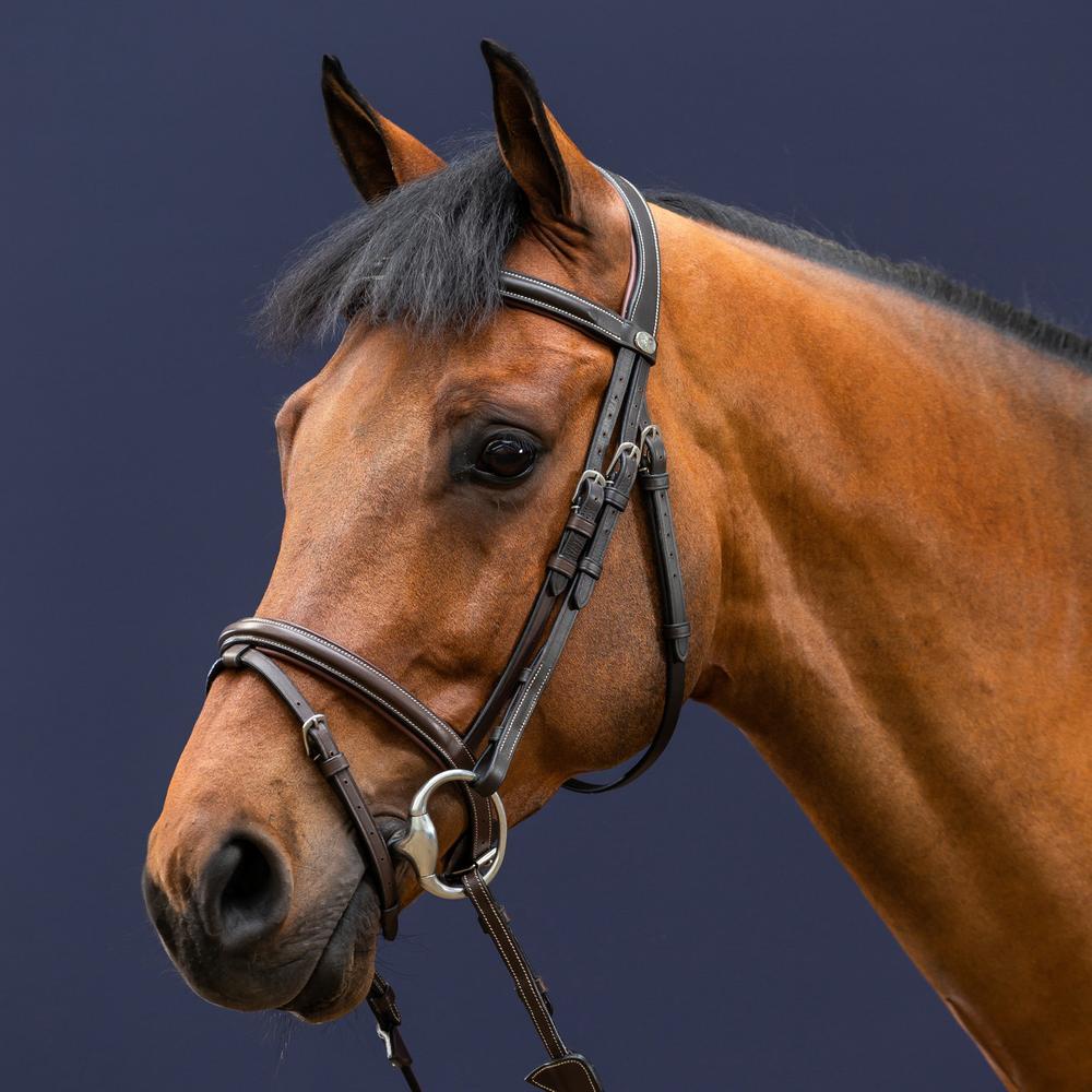 Flash Noseband Bridle WO | Dy'on | Versatile — Image 2