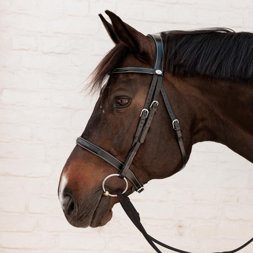 Cavesson Hunter Bridle WO |  | innovative — Image 6