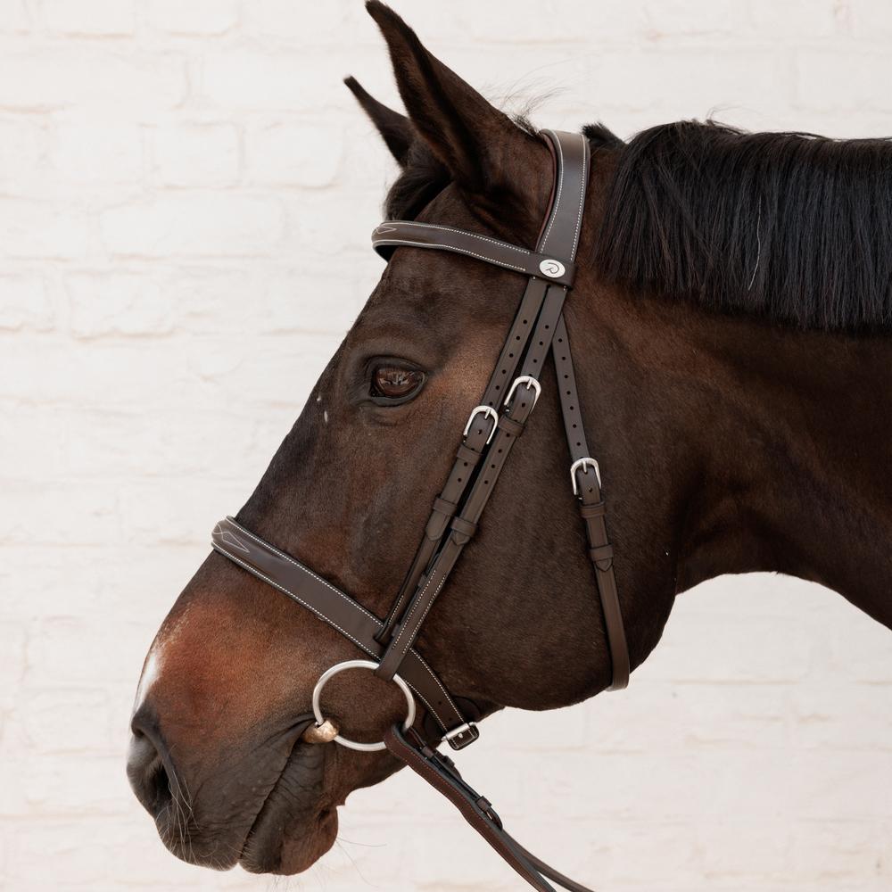 Cavesson Hunter Bridle WO |  | innovative — Image 2