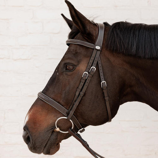 Cavesson Hunter Bridle WO |  | innovative — Image 2