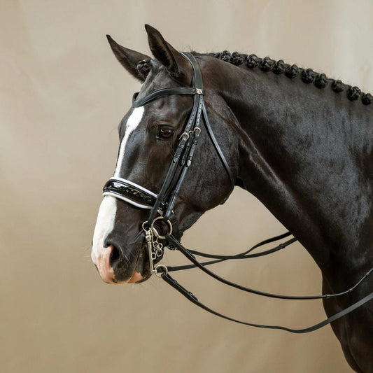Patent Large Crank Noseband With White Padding Double Bridle | Dy'on | Comfort — Image 2