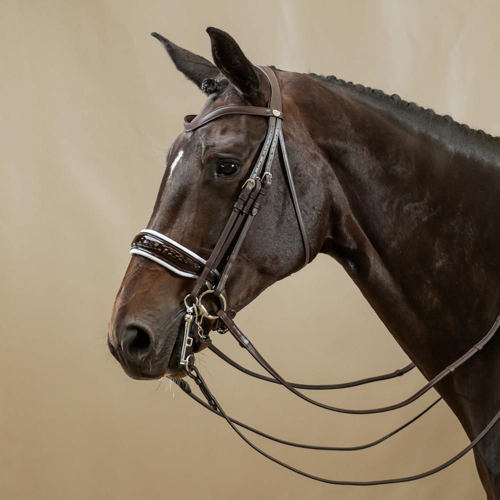 Patent Large Crank Noseband With White Padding Double Bridle | Dy'on | Comfort — Image 4