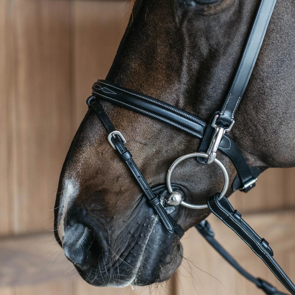 Training Bridle WO | Dy'on | Durable — Image 2