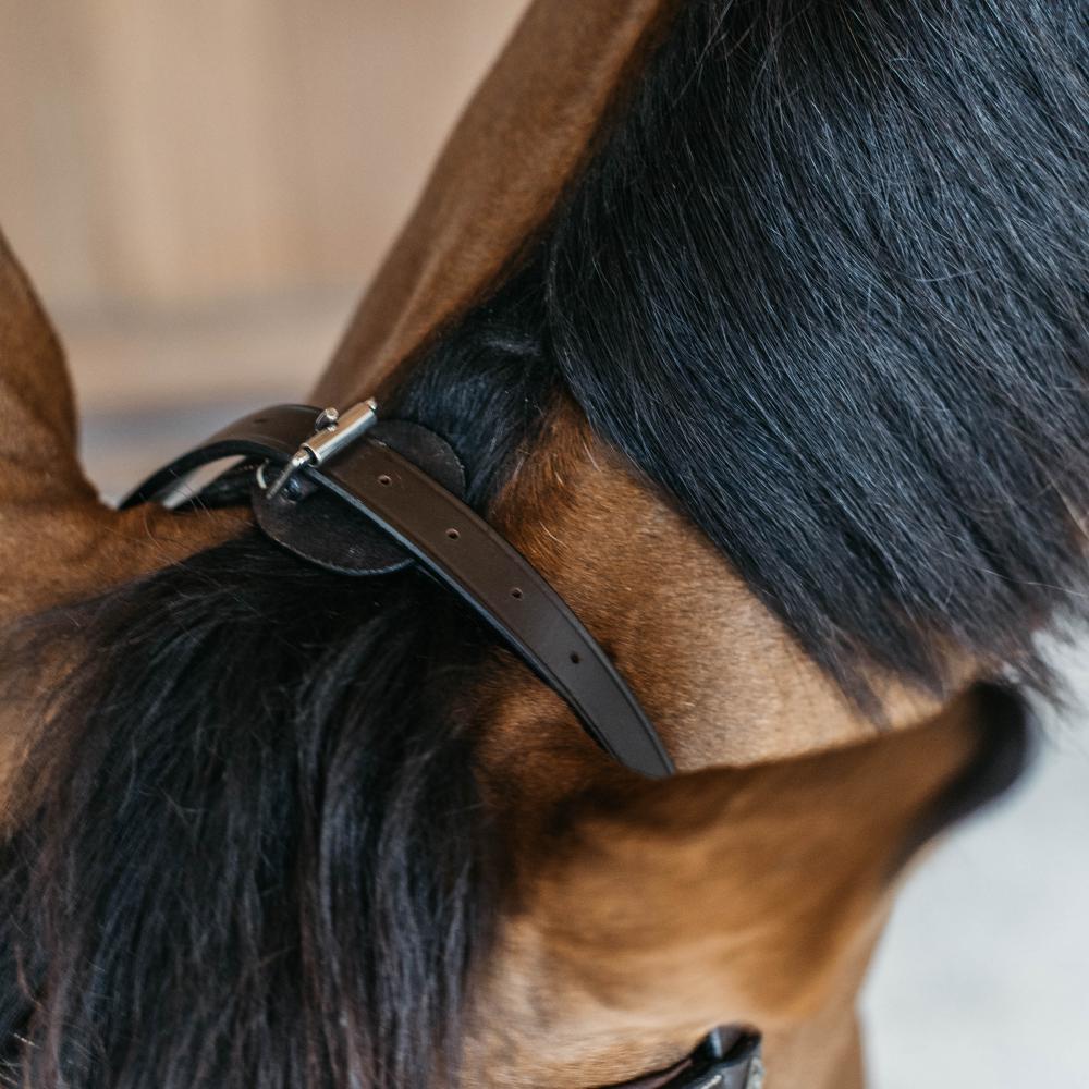 Training Bridle WO | Dy'on | Durable — Image 6