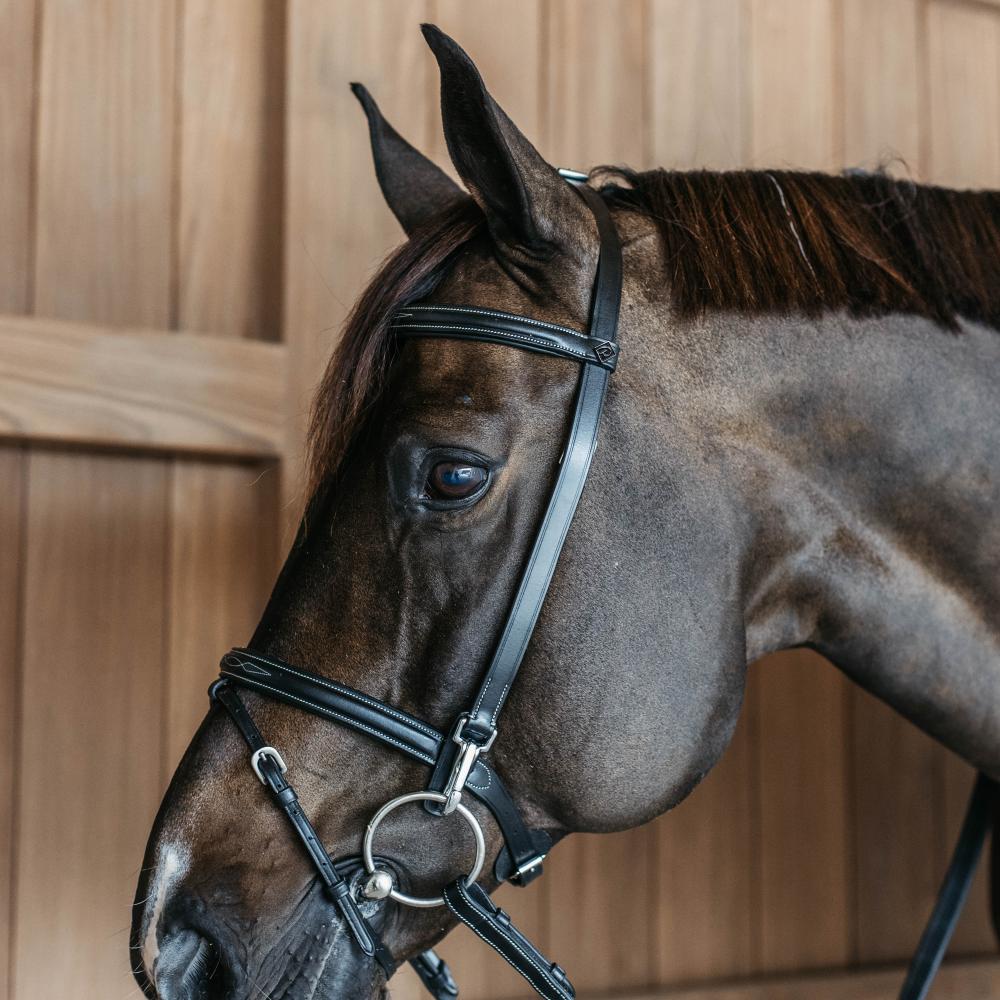 Training Bridle WO | Dy'on | Durable — Image 4