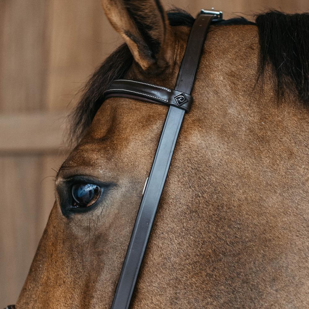 Training Bridle WO | Dy'on | Durable — Image 7