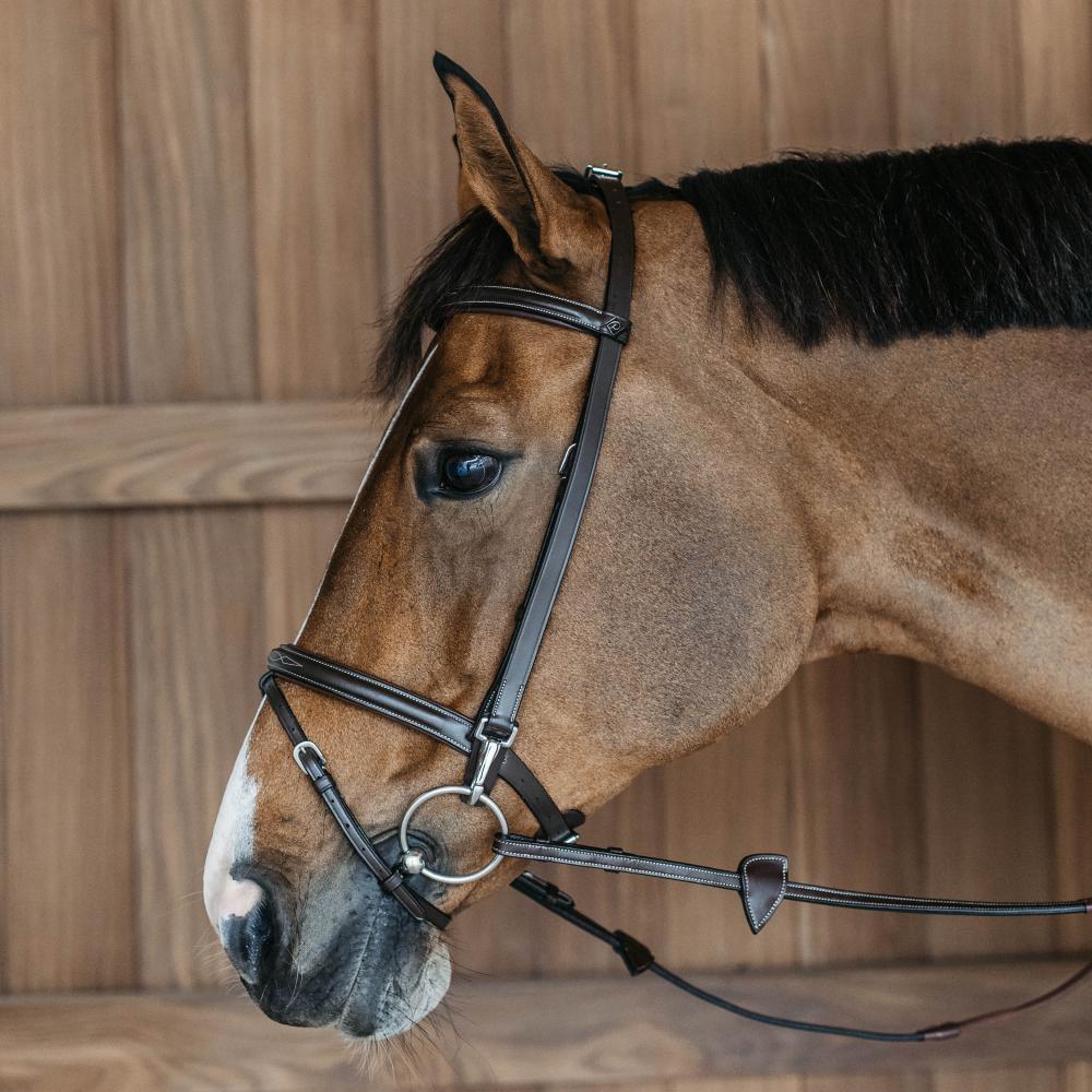 Training Bridle WO | Dy'on | Durable — Image 8