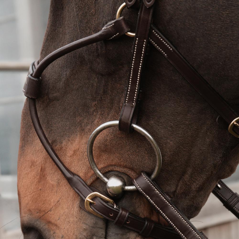 Hybrid Noseband |  | — Image 4