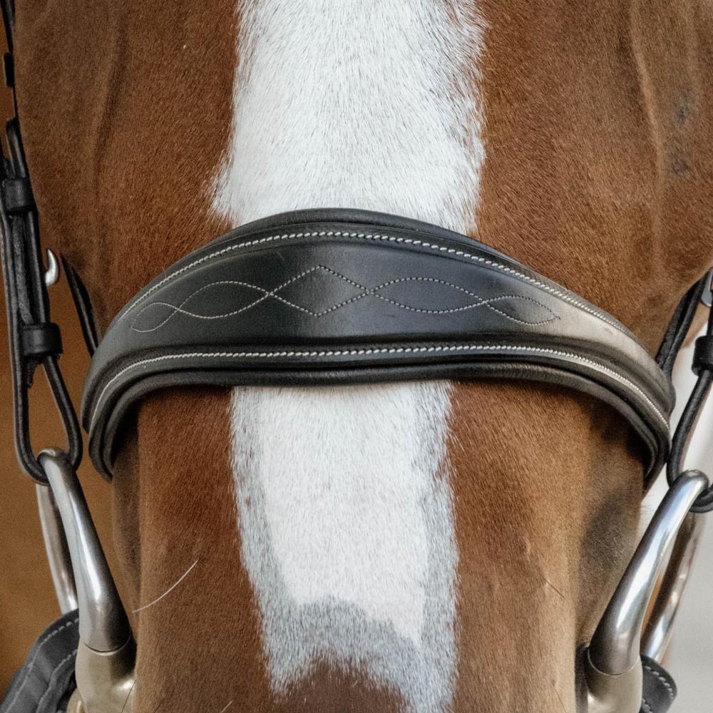 Anatomic Noseband Without Flash |  | — Image 2