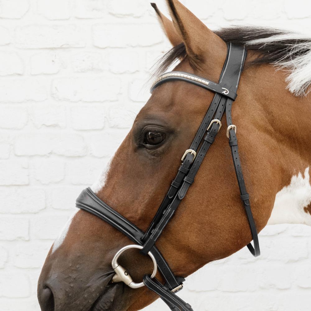 Anatomic Noseband Without Flash |  | — Image 3