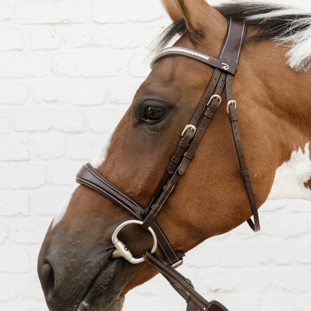 Anatomic Noseband Without Flash |  | — Image 6