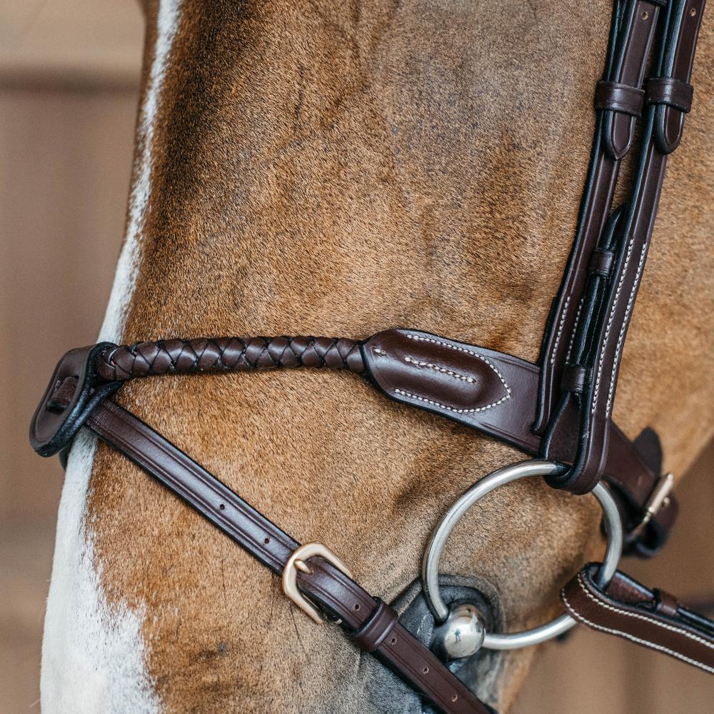 Braided Flash Noseband | Dy'on | — Image 4
