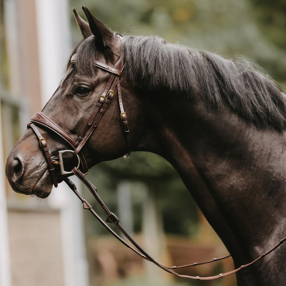 5/8" Hunter Reins With 7 Leather Loops | Dy'on | — Image 3