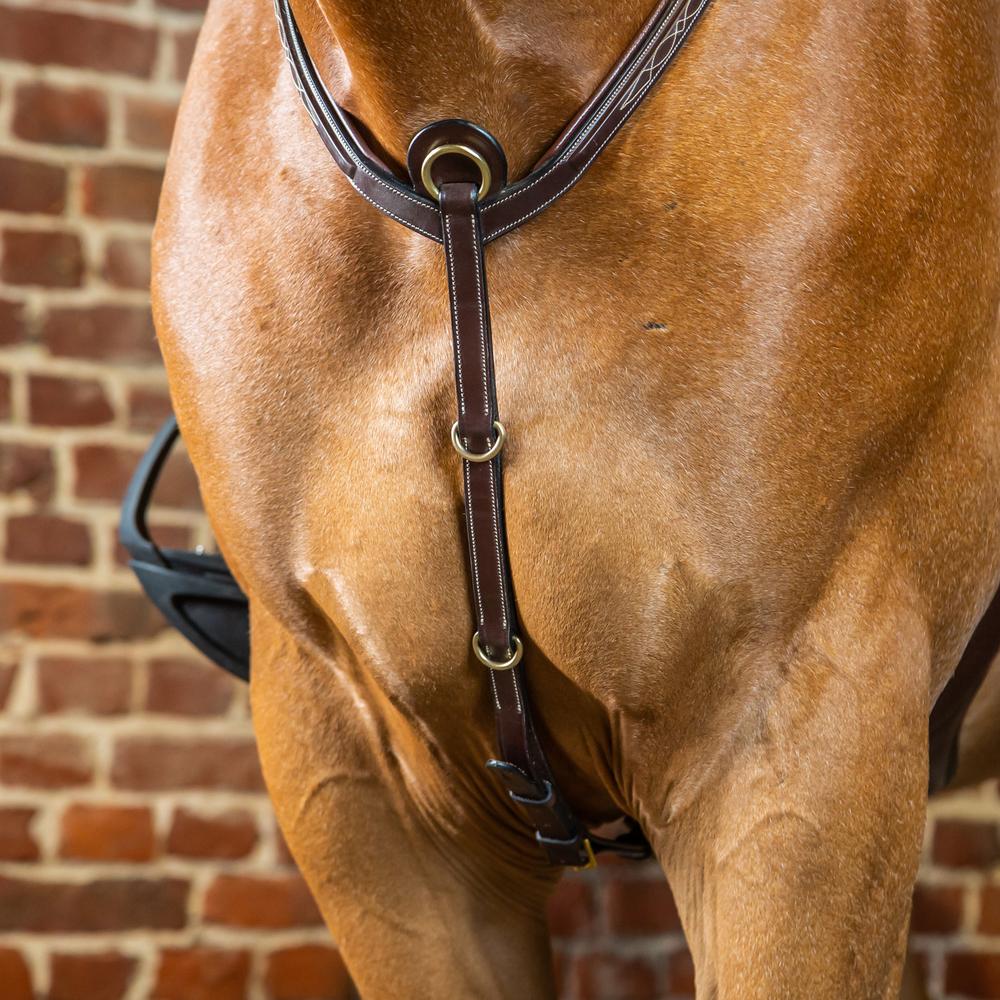 Bridge Breastplate | Dy'on | adjustable