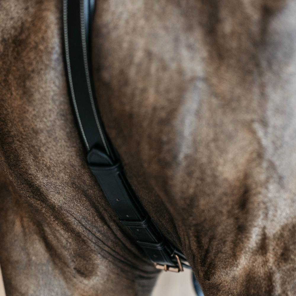 5 Points Breastplate with elastic | Dy'on | Comfort — Image 6