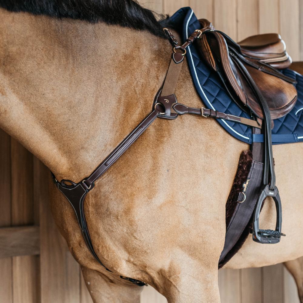 5 Points Breastplate with elastic | Dy'on | Comfort — Image 3