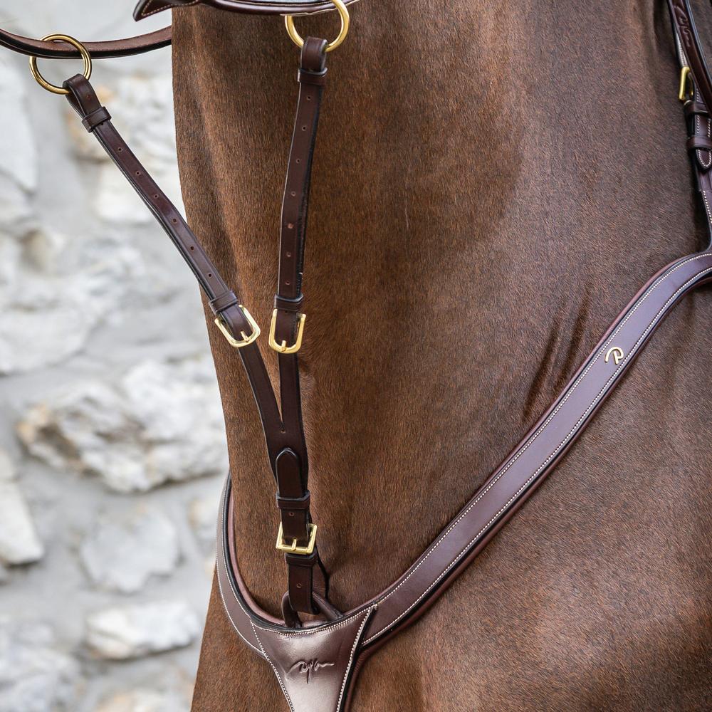 Running Martingale Attachment | Dy'on | Control