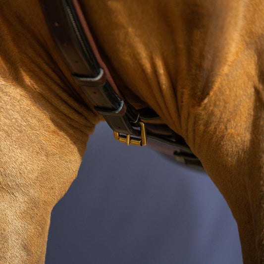 Yoke | Dy'on | Durability