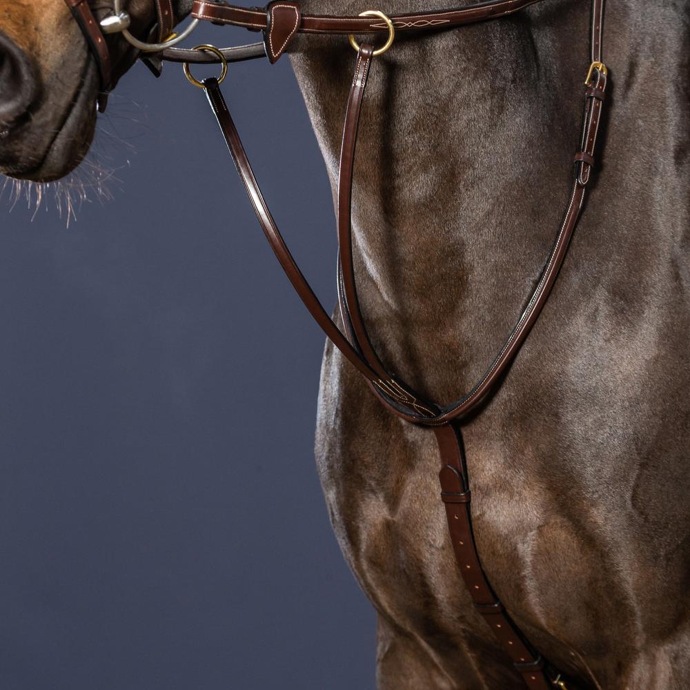 Running Martingale | Dy'on | premiumleather