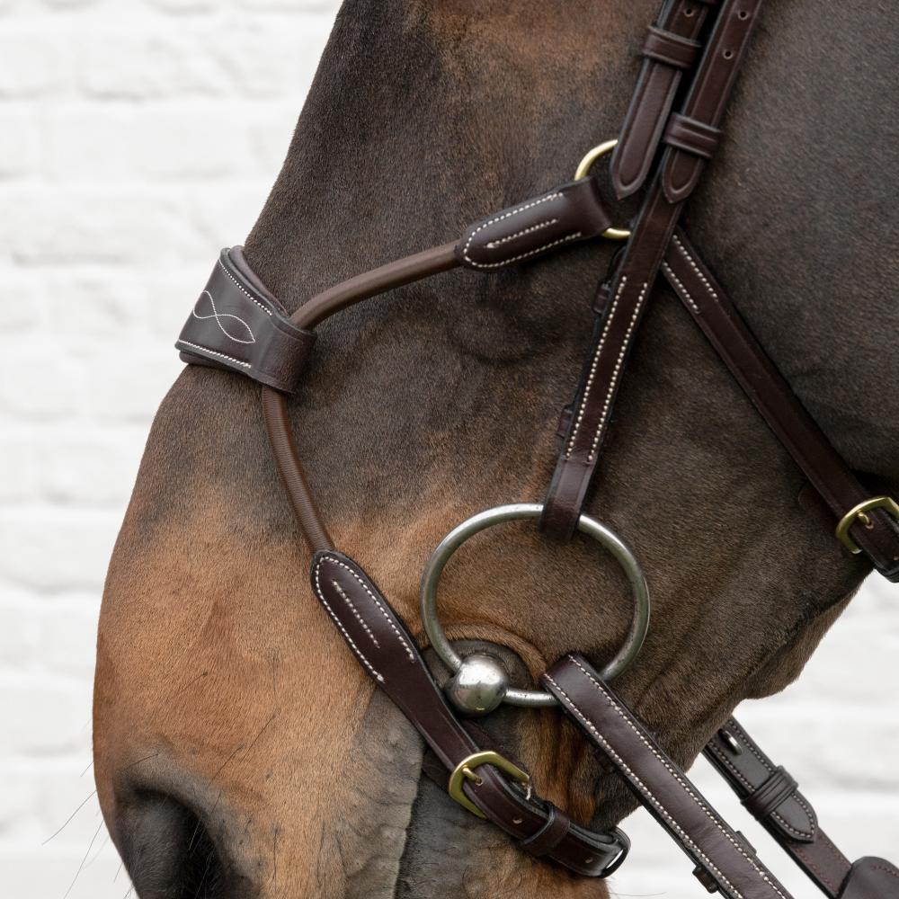 Elastic Hybrid Noseband |  | — Image 3