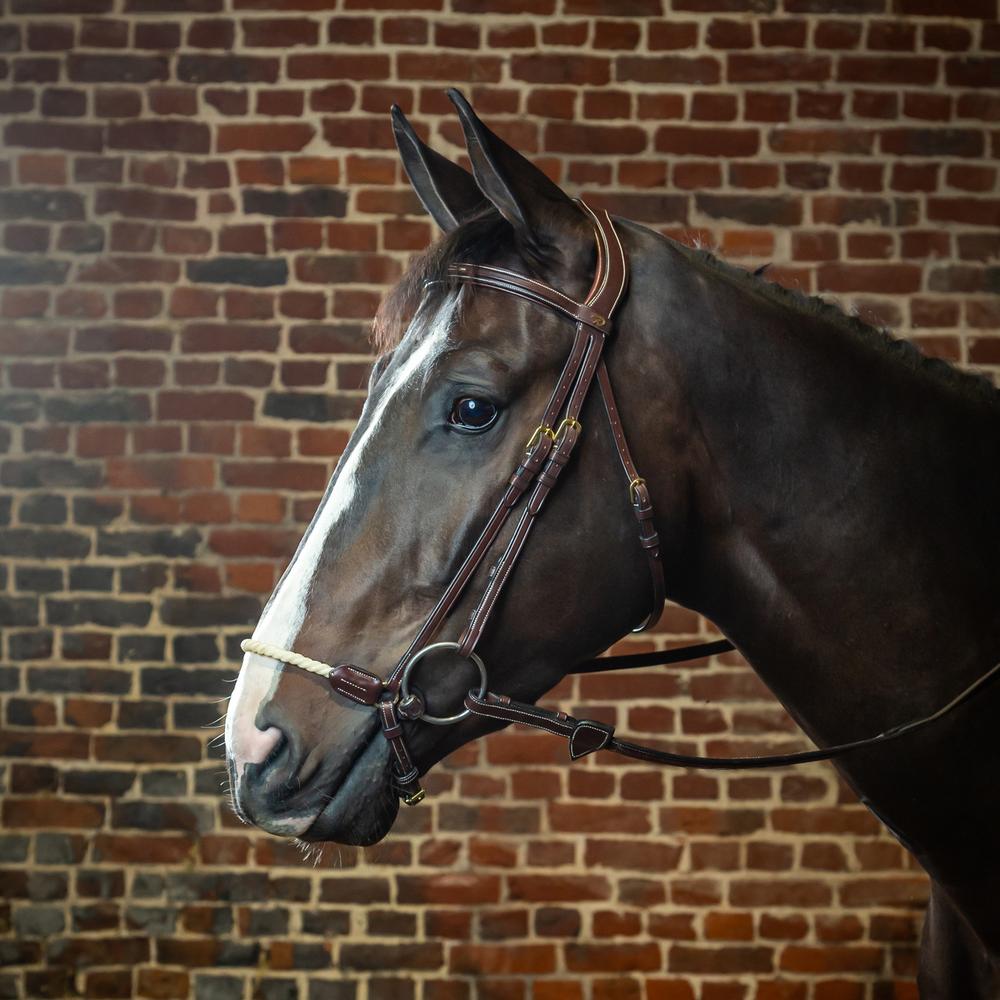 Rope Drop Noseband Bridle DY | Dy'on | Comfort