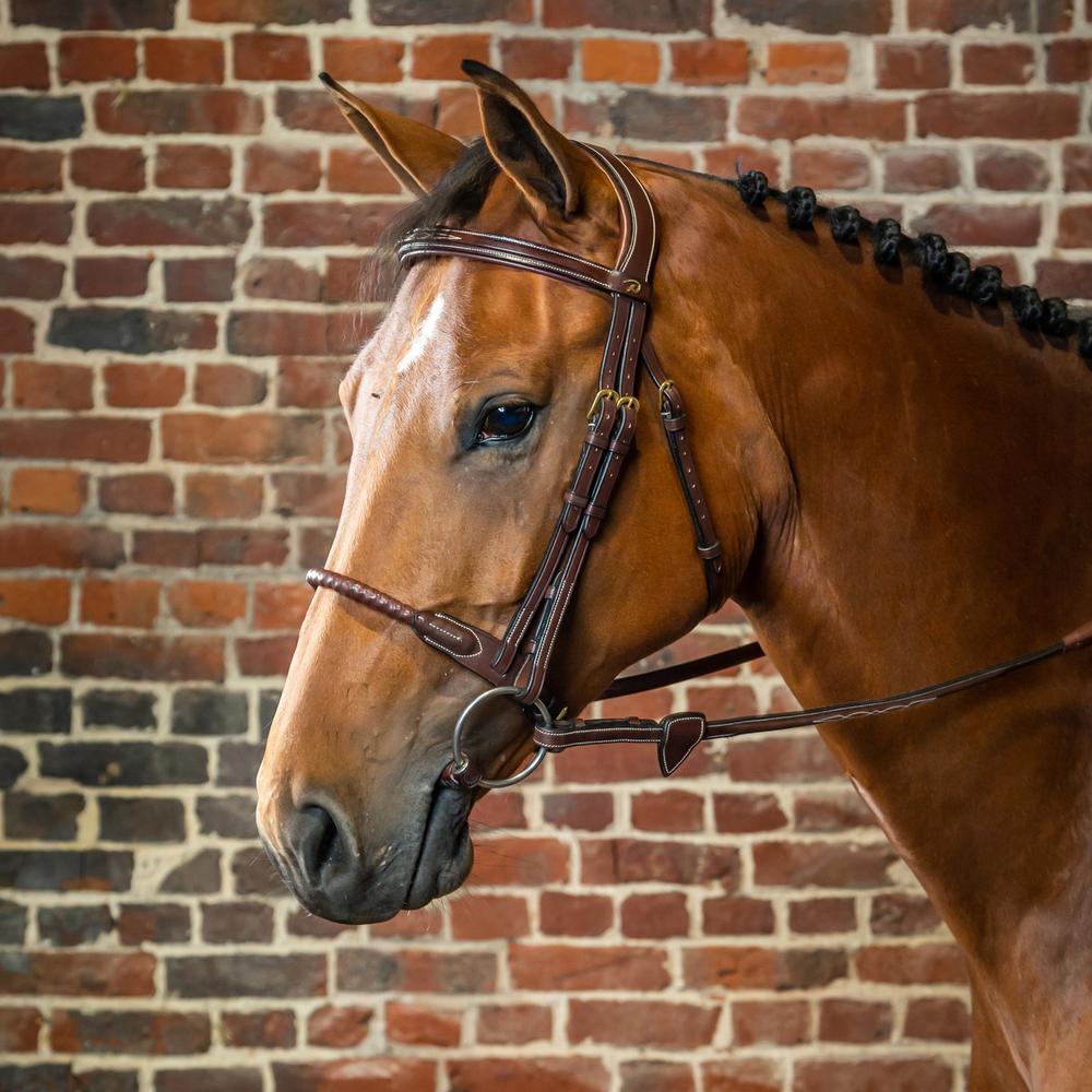 Leather Covered Rope Noseband Bridle DY | Dy'on | Versatile
