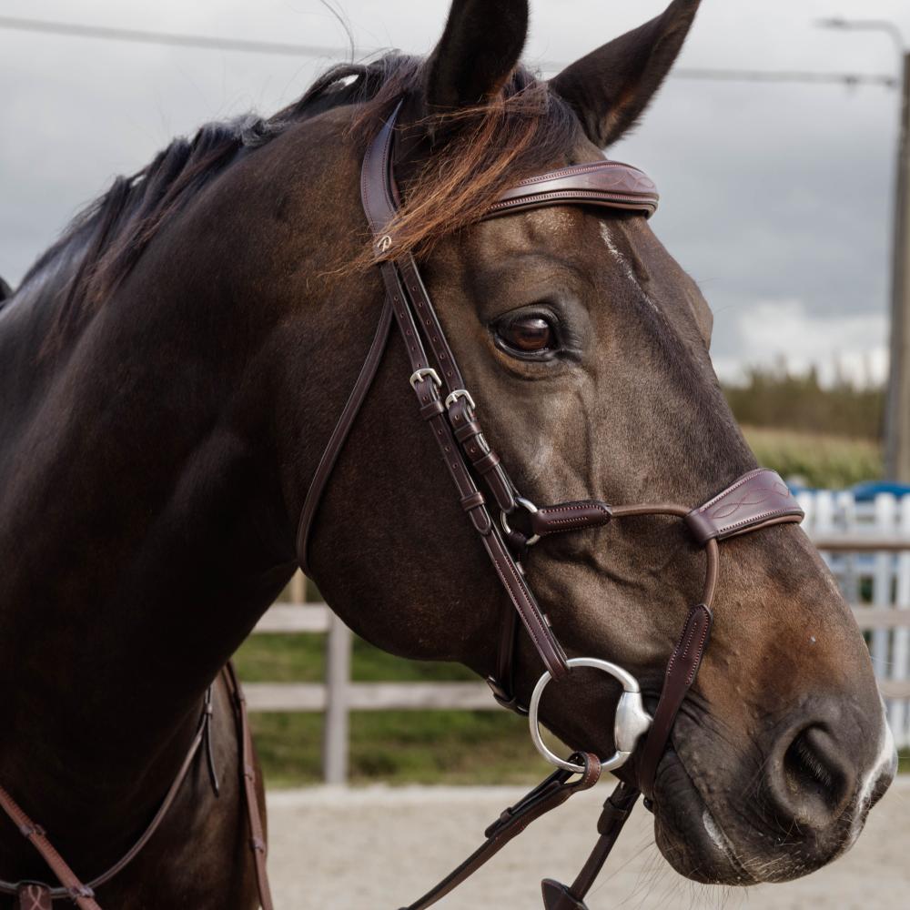 Elastic Hybrid Noseband |  | — Image 3