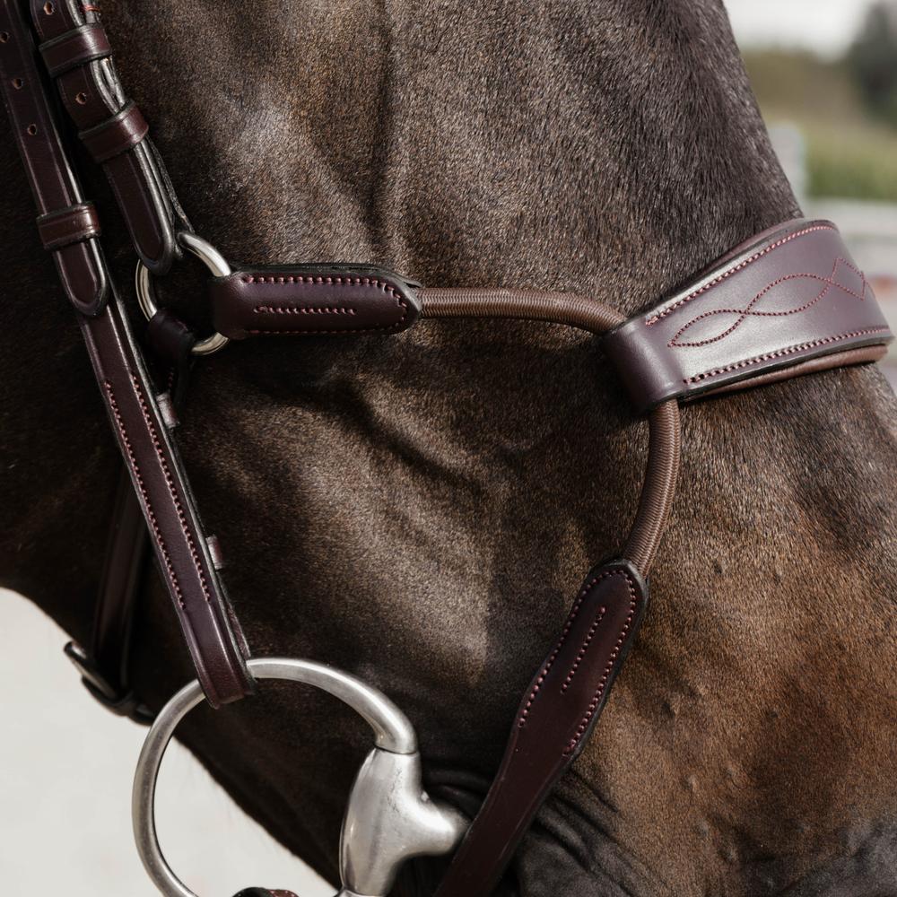 Elastic Hybrid Noseband |  | — Image 4