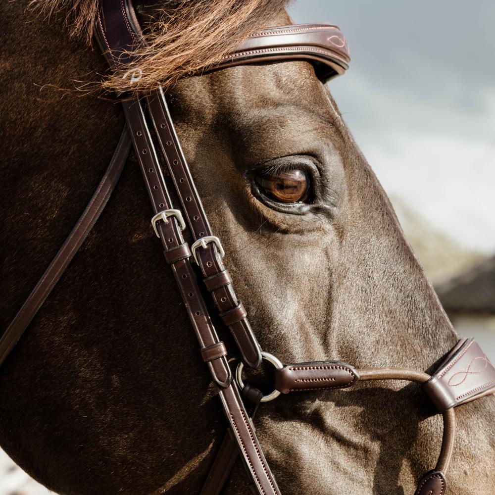 Elastic Hybrid Noseband Bridle NE |  | Durable — Image 4