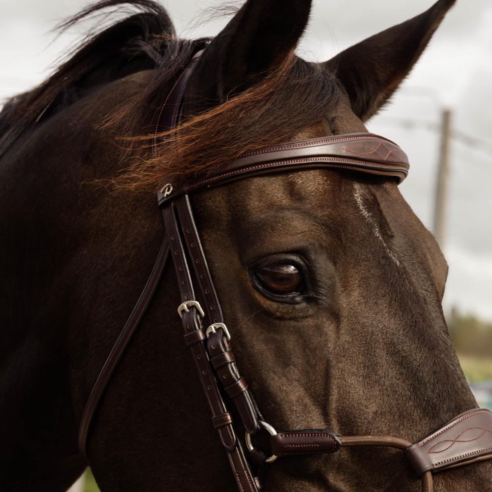 Elastic Hybrid Noseband Bridle NE |  | Durable — Image 5
