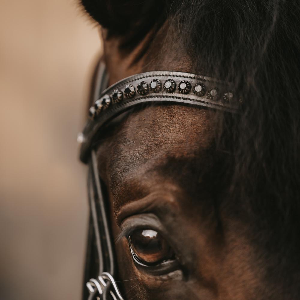 Black Swarovski V-Shaped Browband | Dy'on | elegantdesign — Image 4