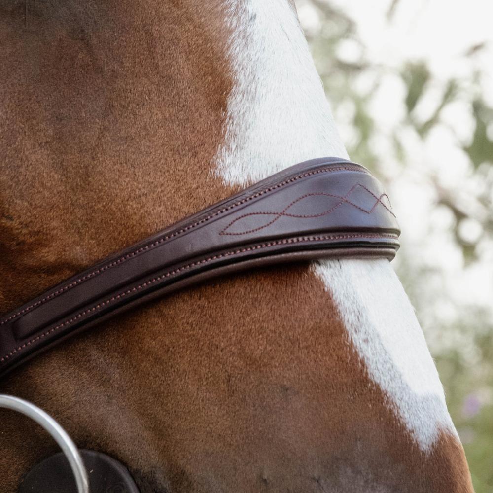 Anatomic Noseband Without Flash |  | — Image 5